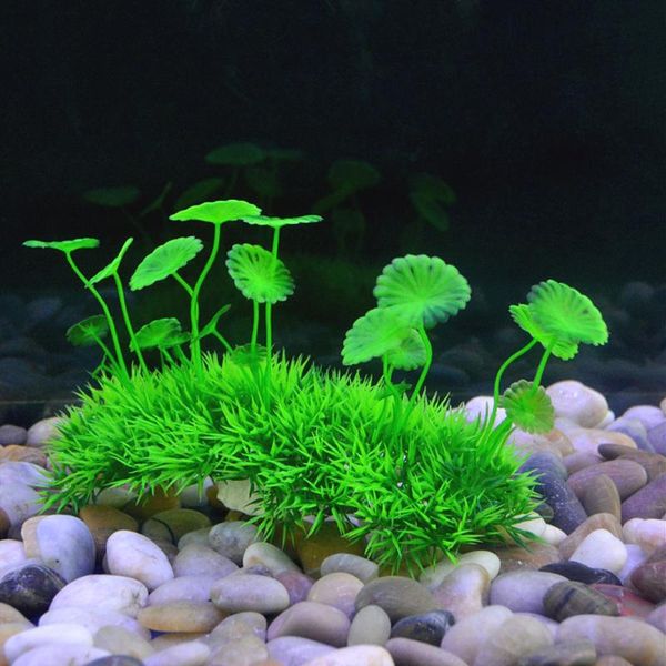 decorations aquarium plastic plant small,fish tank decoration ornament artificial plactic plants 1pc
decorations aquarium plastic plant small,fish tank decoration ornament artificial plactic plants 1pc