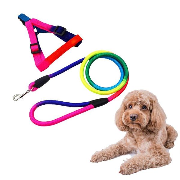 dog collars & leashes smiling cheese rainbow color nylon puppy chest harness leash for all sized dogs poodle dachshund golden retriever pug
dog collars & leashes smiling cheese rainbow color nylon puppy chest harness leash for all sized dogs poodle dachshund golden retriever pug