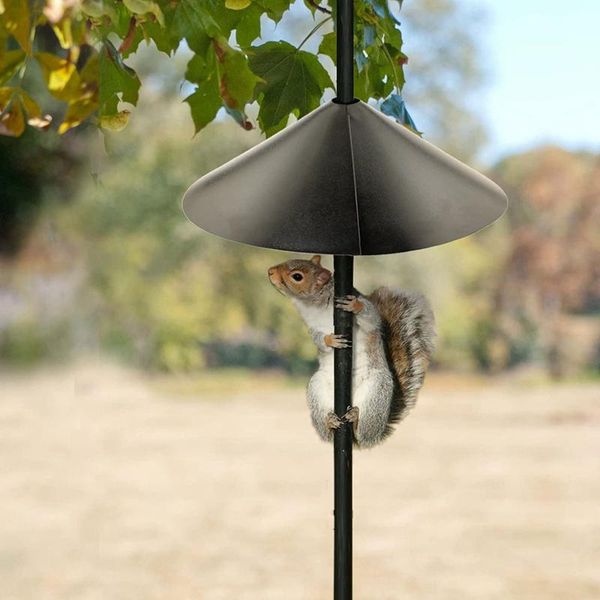 other bird supplies foldable metal squirrel bezel wrap-around partition protective cover 12/16 inch
other bird supplies foldable metal squirrel bezel wrap-around partition protective cover 12/16 inch