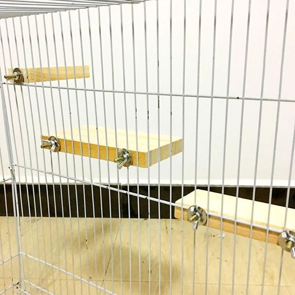 other bird supplies wood stand platform toy grinding clean cage accessories for parrot hamster nds66
other bird supplies wood stand platform toy grinding clean cage accessories for parrot hamster nds66