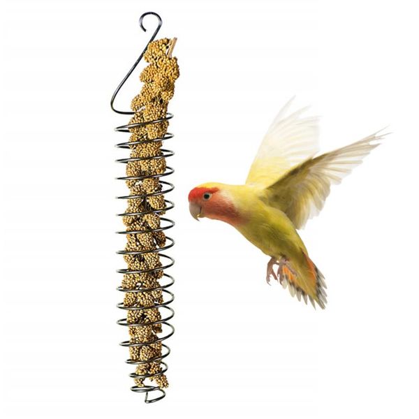 other bird supplies toys stainless steel parrot food basket for putting fruit vegetable suitable small medium large
other bird supplies toys stainless steel parrot food basket for putting fruit vegetable suitable small medium large
