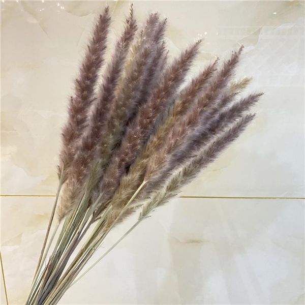 decorative flowers & wreaths dried decorations plant decoration reed small pampas white air-dried display props home
decorative flowers & wreaths dried decorations plant decoration reed small pampas white air-dried display props home