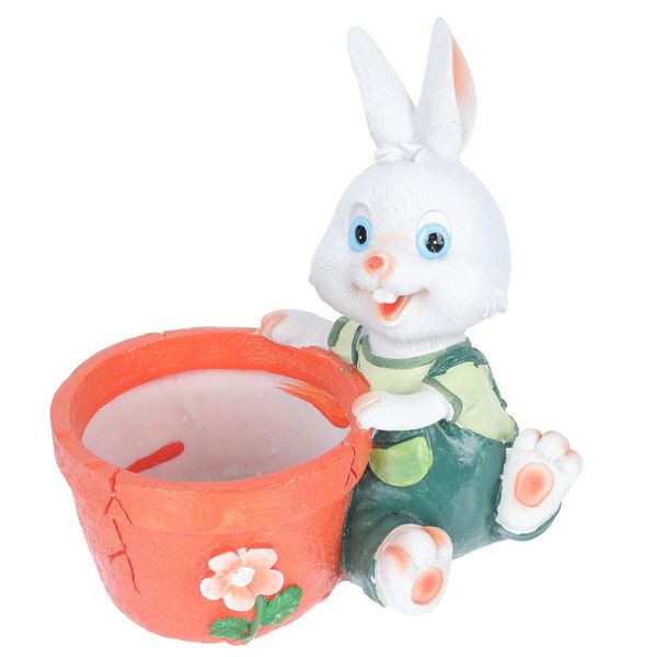 decorative flowers & wreaths 1pc cartoon animal flowerpot small adorable fleshy green plants container
decorative flowers & wreaths 1pc cartoon animal flowerpot small adorable fleshy green plants container
