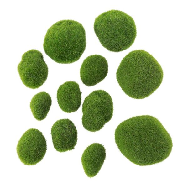 pcs simulation moss stone plant decoration for aquariums and glass jar terrarium realistic decorations
pcs simulation moss stone plant decoration for aquariums and glass jar terrarium realistic decorations