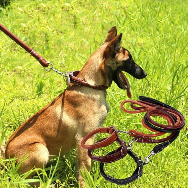 dog collars & leashes home leather weaving round belt leash comfortable classic pet collar supplies durable quality
dog collars & leashes home leather weaving round belt leash comfortable classic pet collar supplies durable quality