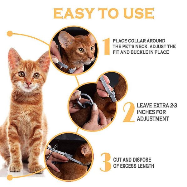 transer creative dog leash 2pc removes flea and tick collar dogs cats up to 8 month harness for p30# collars & leashes
transer creative dog leash 2pc removes flea and tick collar dogs cats up to 8 month harness for p30# collars & leashes