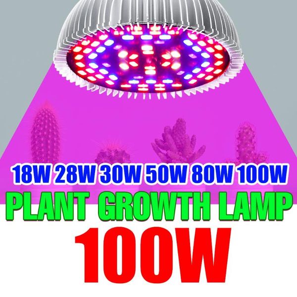 grow lights 220v plant lamp led full spectrum light bulb e27 phytolamps for seedlings fitolampy 18w 28w 30w 50w 80w 100w seeds e14
grow lights 220v plant lamp led full spectrum light bulb e27 phytolamps for seedlings fitolampy 18w 28w 30w 50w 80w 100w seeds e14