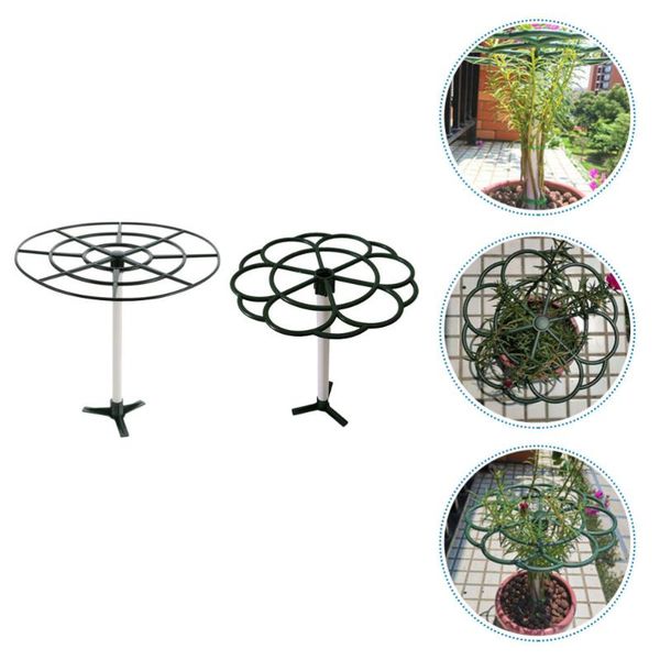 other festive & party supplies 2pcs lollipop flower support stand plant rack climbing vine
other festive & party supplies 2pcs lollipop flower support stand plant rack climbing vine