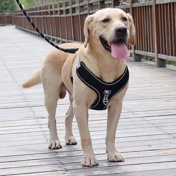 dog collars & leashes pet leash large and medium-sized harness sports running reflective at night security breathable explosion-proof sprint
dog collars & leashes pet leash large and medium-sized harness sports running reflective at night security breathable explosion-proof sprint