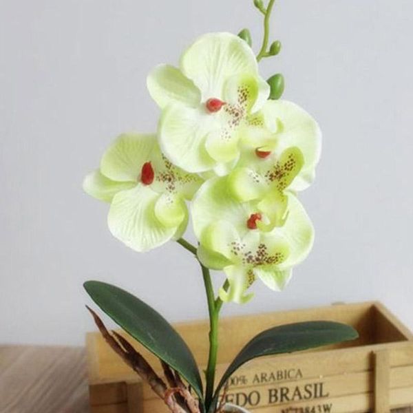 decorative flowers & wreaths simulation fancy four butterfly orchid meaty plant bonsai flower arranging accessories nw
decorative flowers & wreaths simulation fancy four butterfly orchid meaty plant bonsai flower arranging accessories nw
