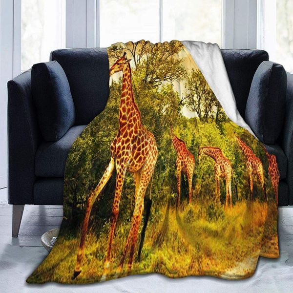 Flannel Blanket African Giraffes Lightweight Cozy Bed Blanket Soft Throw Blanket fits Couch Sofa Suitable for All Season 60"x80"
Flannel Blanket African Giraffes Lightweight Cozy Bed Blanket Soft Throw Blanket fits Couch Sofa Suitable for All Season 60"x80"