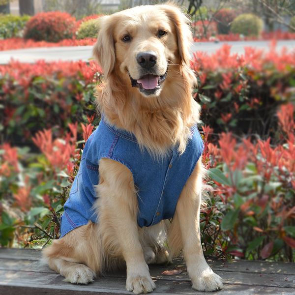 hair golden pet alaskan clothes samo border ancient nomad labrador medium and large dog wash jeans
hair golden pet alaskan clothes samo border ancient nomad labrador medium and large dog wash jeans