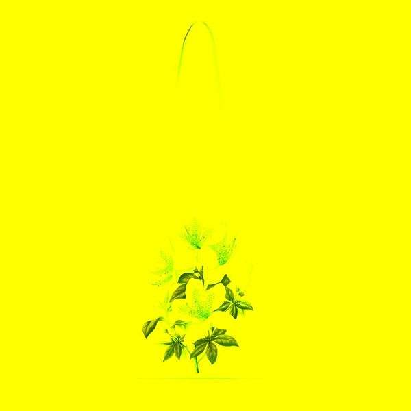 shopping bags sccfmm fashion harajuku travel bag tote for girls ladies cute women one shoulder diy printing canvas r
shopping bags sccfmm fashion harajuku travel bag tote for girls ladies cute women one shoulder diy printing canvas r