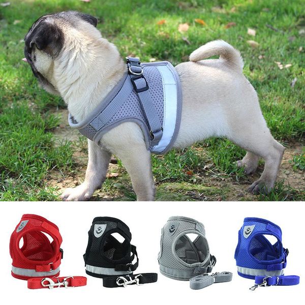 dog collars & leashes cat harness pet adjustable reflective vest walking lead leash for puppy polyester mesh small medium
dog collars & leashes cat harness pet adjustable reflective vest walking lead leash for puppy polyester mesh small medium
