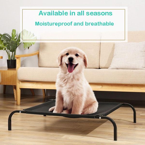 kennels & pens pet supplies breathable practical moisture-proof winter cat sofa mat dog camping bed
kennels & pens pet supplies breathable practical moisture-proof winter cat sofa mat dog camping bed