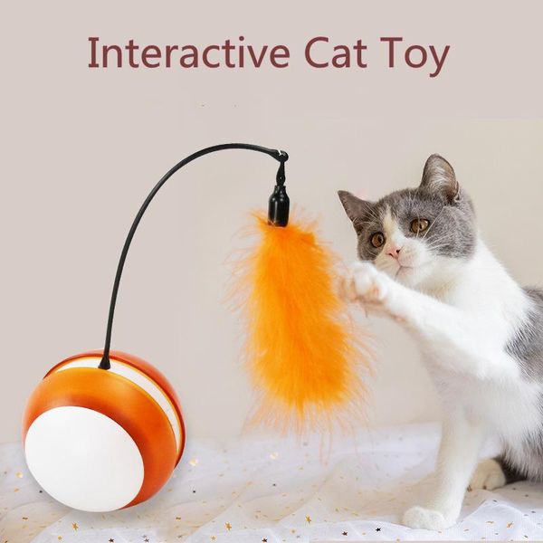 cat tumbler swing toys automatic led rolling ball with leather interactive electric cats pet gatos productos para mascotas
cat tumbler swing toys automatic led rolling ball with leather interactive electric cats pet gatos productos para mascotas