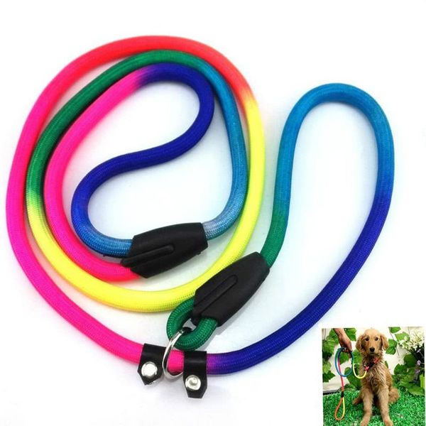 dog collars & leashes rainbow pet nylon rope training leash slip lead strap adjustable traction collar
dog collars & leashes rainbow pet nylon rope training leash slip lead strap adjustable traction collar