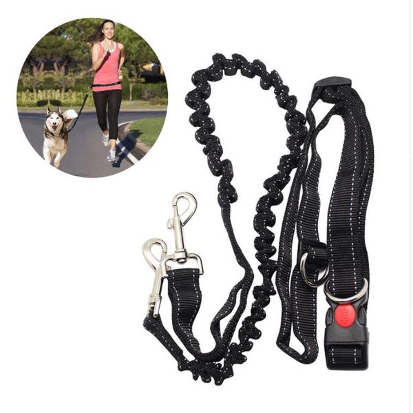 dog collars & leashes 2021 1pc hands running lead waist belt perfect for jogging hiking walking leash bungee harness
dog collars & leashes 2021 1pc hands running lead waist belt perfect for jogging hiking walking leash bungee harness