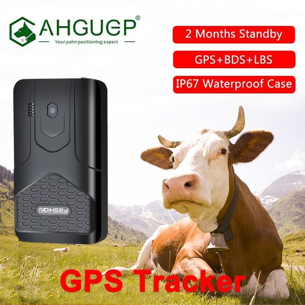 car gps & accessories ahguep s6 tracker long standby waterproof voice monitor pet locator with app collar
car gps & accessories ahguep s6 tracker long standby waterproof voice monitor pet locator with app collar
