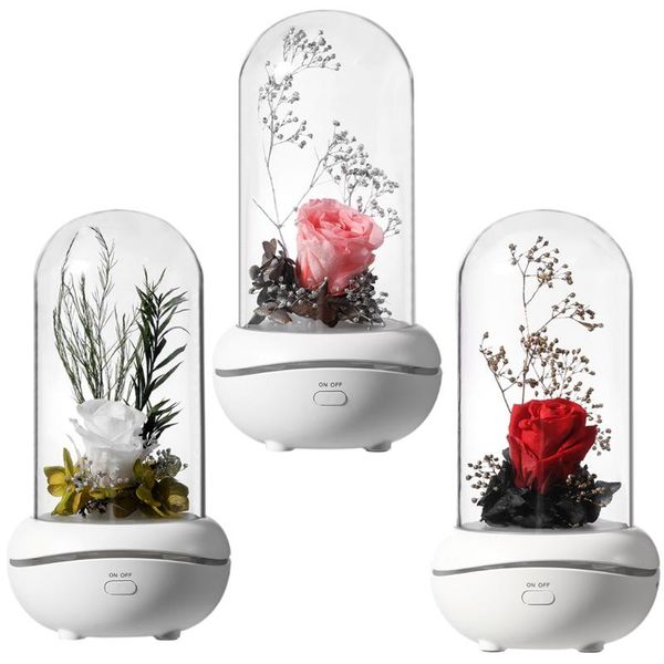 fragrance lamps rose lamp eternal flower colorful ambience light usb gifts
fragrance lamps rose lamp eternal flower colorful ambience light usb gifts