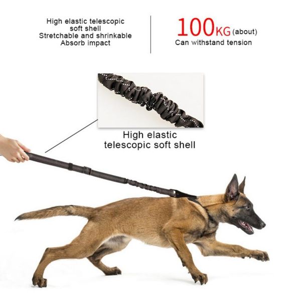dog collars & leashes pet car safety belt double head elastic nylon one pull two traction rope puppy cat adjustable lead leash #2
dog collars & leashes pet car safety belt double head elastic nylon one pull two traction rope puppy cat adjustable lead leash #2