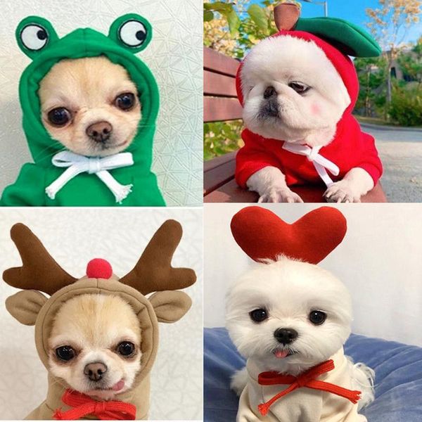 dog apparel pet clothes cute fruit plus velvet sweatshirt autumn and winter polyester warm hooded jacket small medium cats dogs
dog apparel pet clothes cute fruit plus velvet sweatshirt autumn and winter polyester warm hooded jacket small medium cats dogs