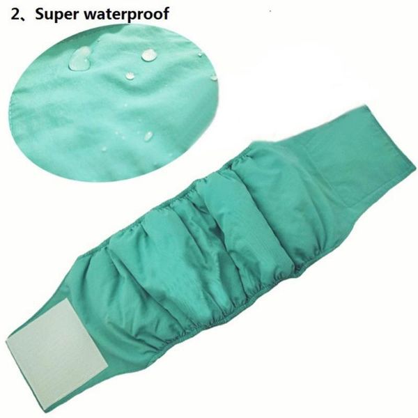 dog apparel diaper physiological pants sanitary washable female waterproof puppy physiology band, comfortable and breathable
dog apparel diaper physiological pants sanitary washable female waterproof puppy physiology band, comfortable and breathable