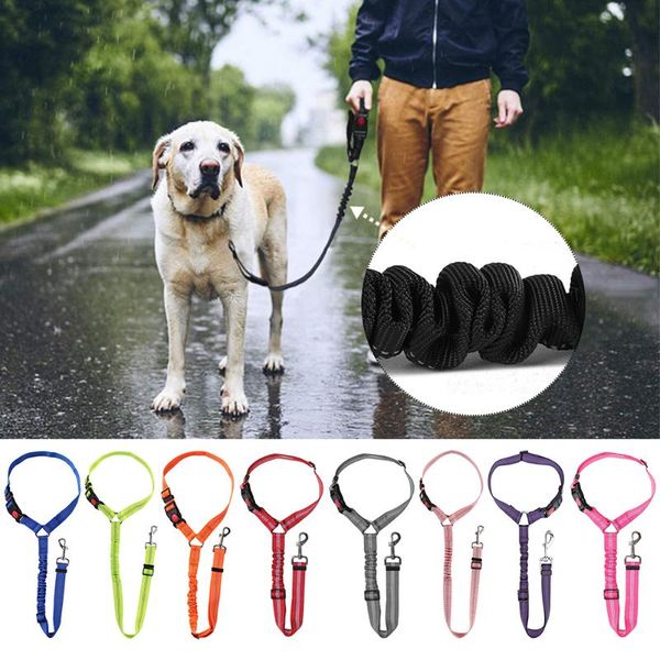 dog collars & leashes car seat pet headrest mount reflective tape travel walking belt training portable gift anti lead elastic safety
dog collars & leashes car seat pet headrest mount reflective tape travel walking belt training portable gift anti lead elastic safety