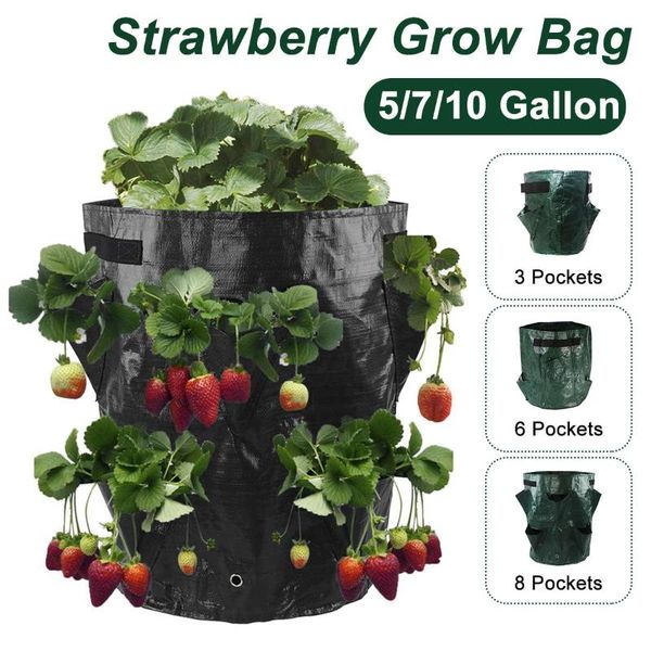 planters & pots 5/7/10gallon garden outdoor planting grow bags vertical strawberry vegetable seeds reusable pot planter growing bag
planters & pots 5/7/10gallon garden outdoor planting grow bags vertical strawberry vegetable seeds reusable pot planter growing bag