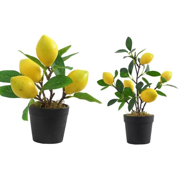 artificial fruits tree simulated bonsai home decoration potted plant living room ornament indoor outdoor office decorative flowers & w wreat
artificial fruits tree simulated bonsai home decoration potted plant living room ornament indoor outdoor office decorative flowers & w wreat