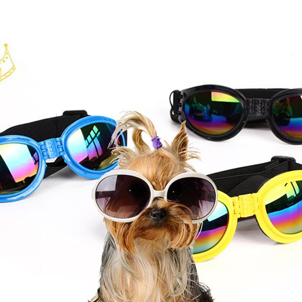 dog apparel foldable pet glasses medium large eyewear six colors of windproof goggles are available
dog apparel foldable pet glasses medium large eyewear six colors of windproof goggles are available