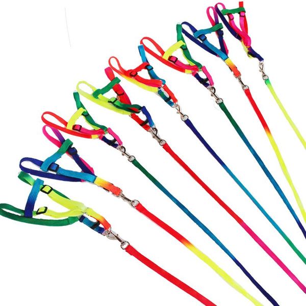 dog collars & leashes pet collar harness leash soft lead colorful and durable traction rope nylon 120cm chain cat
dog collars & leashes pet collar harness leash soft lead colorful and durable traction rope nylon 120cm chain cat