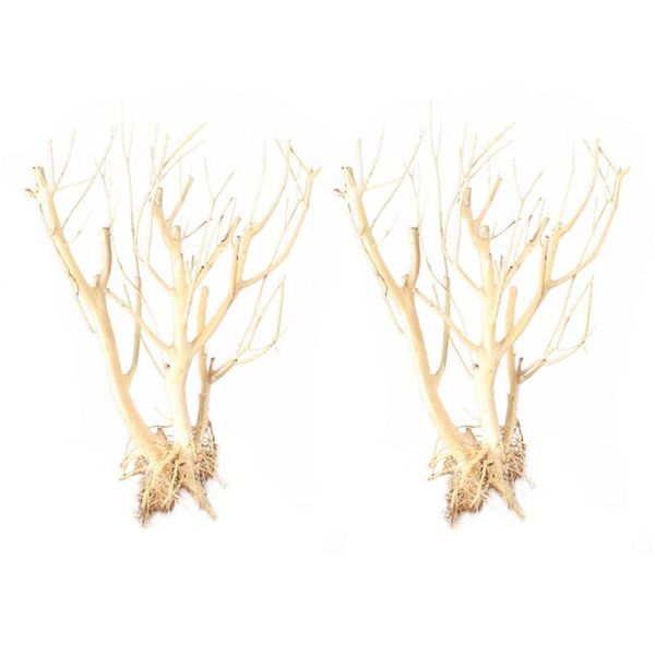 2pcs aquarium adornment twig decorative fish tank supplies for garden decorations
2pcs aquarium adornment twig decorative fish tank supplies for garden decorations