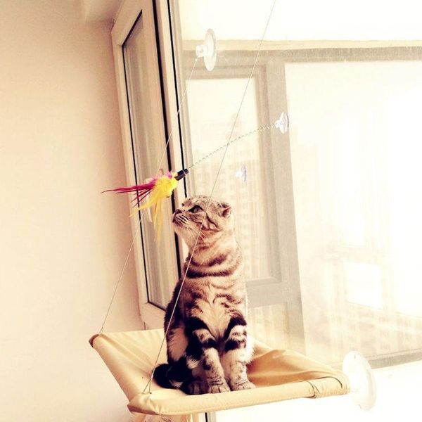 cat toys feather stick spring suction cup pet teaser funny interactive wand bell j78c
cat toys feather stick spring suction cup pet teaser funny interactive wand bell j78c