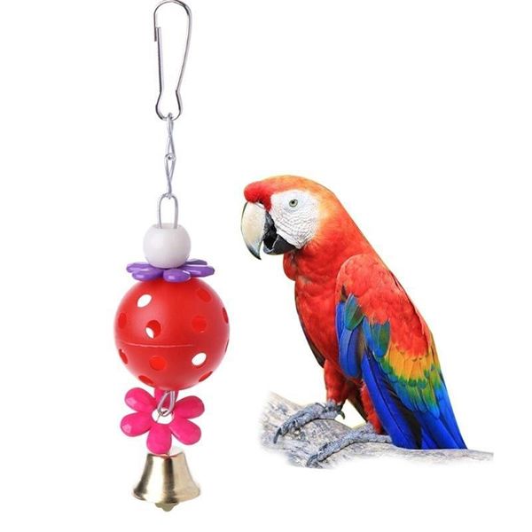 other bird supplies small and medium parrot toy egg bell ball hanging accessories
other bird supplies small and medium parrot toy egg bell ball hanging accessories