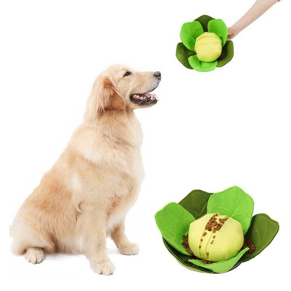 dog toys & chews food smell ball fun interactive plush for pet dogs cats increases iq release stress supplies
dog toys & chews food smell ball fun interactive plush for pet dogs cats increases iq release stress supplies