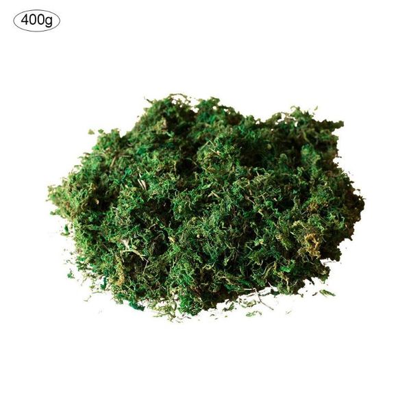 decorative flowers & wreaths simulation artificial moss green dried fake for micro-landscape flower plant decoration
decorative flowers & wreaths simulation artificial moss green dried fake for micro-landscape flower plant decoration
