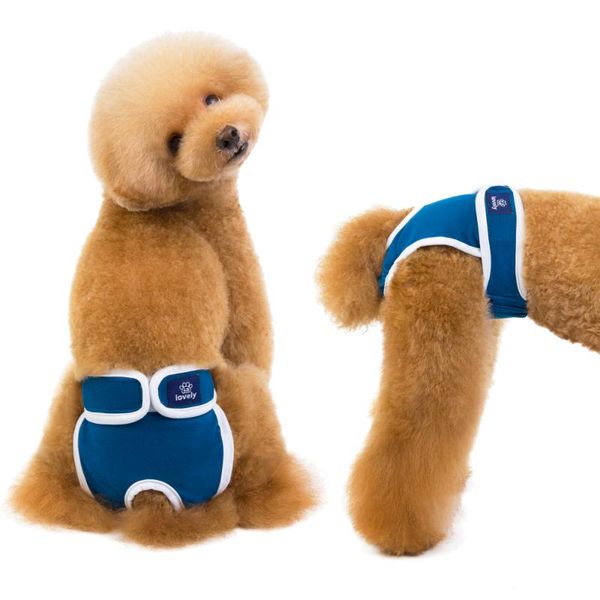 dog apparel mascotas diapers physiological pants washable female shorts soft girl dogs pets underwear sanitary panties s-2xl
dog apparel mascotas diapers physiological pants washable female shorts soft girl dogs pets underwear sanitary panties s-2xl