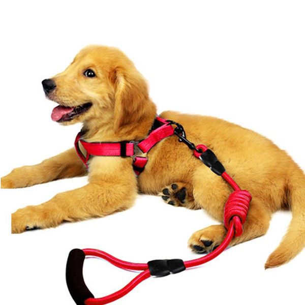long nylon dog leash dogs lead pet mountaineering rope outdoor walking training leashes for belt safety collars &
long nylon dog leash dogs lead pet mountaineering rope outdoor walking training leashes for belt safety collars &