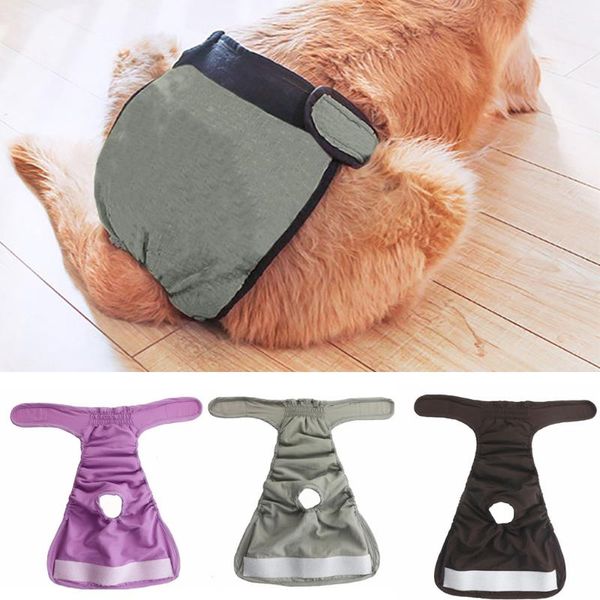 dog apparel arrival health pants pets breathable menstrual physiological pet comfortable safety waterproof physiology
dog apparel arrival health pants pets breathable menstrual physiological pet comfortable safety waterproof physiology