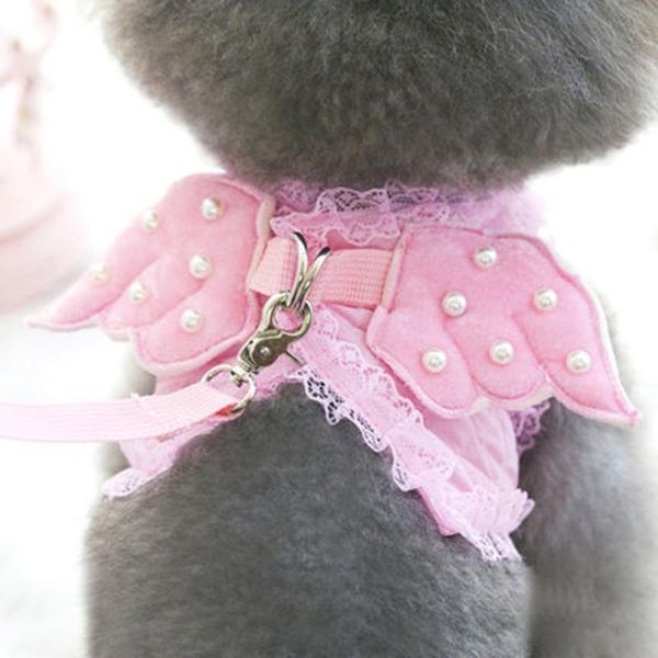 dog collars & leashes mesh leach vest pet harness traction rope puppy collares pare perros dogs pets clothing cat accessories dd50gl
dog collars & leashes mesh leach vest pet harness traction rope puppy collares pare perros dogs pets clothing cat accessories dd50gl