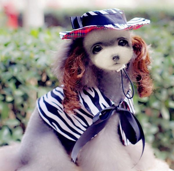 dog apparel pet suit for chihuahua costumes zebra leopard clothes christmas funny cloakprincess cat 171111-56-2
dog apparel pet suit for chihuahua costumes zebra leopard clothes christmas funny cloakprincess cat 171111-56-2
