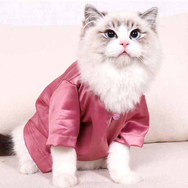 cat costumes smooth silk pet clothes katten pajamas luxury fashion costume soft and cozy kat coat jacket for hairless sphinx
cat costumes smooth silk pet clothes katten pajamas luxury fashion costume soft and cozy kat coat jacket for hairless sphinx