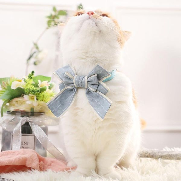 pet accessories, bow ties, retractable collars for dogs, literary cats, collar supplies, leashes, accessories cat & leads
pet accessories, bow ties, retractable collars for dogs, literary cats, collar supplies, leashes, accessories cat & leads