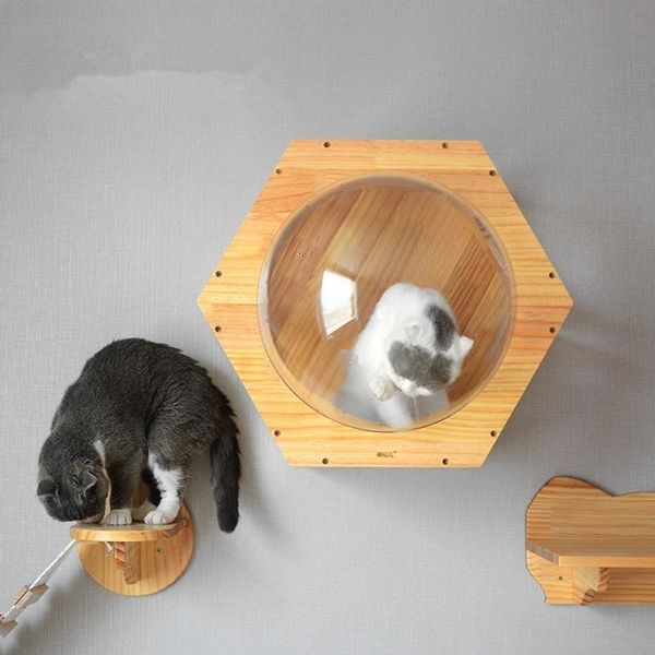 cat beds & furniture 51*44*26cm space hexagonal wooden house jumping platform pet creative toy cattery climb frames wall nest cw107
cat beds & furniture 51*44*26cm space hexagonal wooden house jumping platform pet creative toy cattery climb frames wall nest cw107