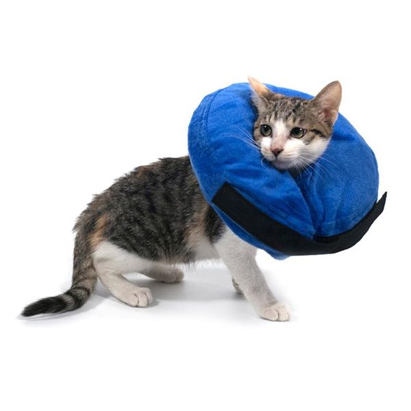 dog collars & leashes pet protective inflatable collar donut design recovery anti-bite neck protection for dogs cats product
dog collars & leashes pet protective inflatable collar donut design recovery anti-bite neck protection for dogs cats product