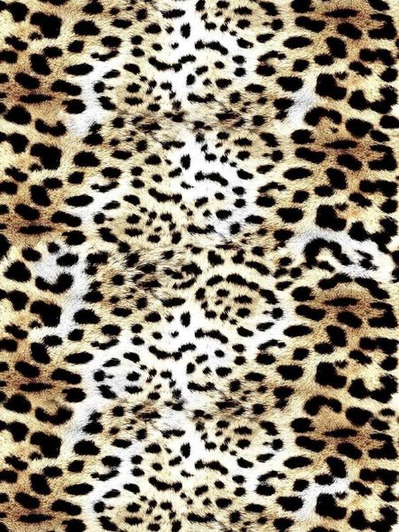 carpets fashion leopard pattern carpet on the floor 3d animal printed big living room soft sponge bathroom mat absorb anti-slip
carpets fashion leopard pattern carpet on the floor 3d animal printed big living room soft sponge bathroom mat absorb anti-slip