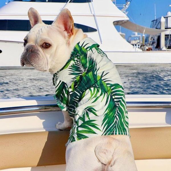 dog apparel clothes beach tshirt short sleeve tree print hawaii casual vest pet travel shirt cat jacket summer
dog apparel clothes beach tshirt short sleeve tree print hawaii casual vest pet travel shirt cat jacket summer