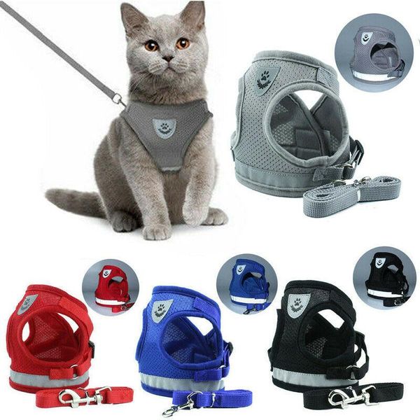 dog collars & leashes adjustable lead safety ancol padded car walking harness travel seatbelt clip vest
dog collars & leashes adjustable lead safety ancol padded car walking harness travel seatbelt clip vest