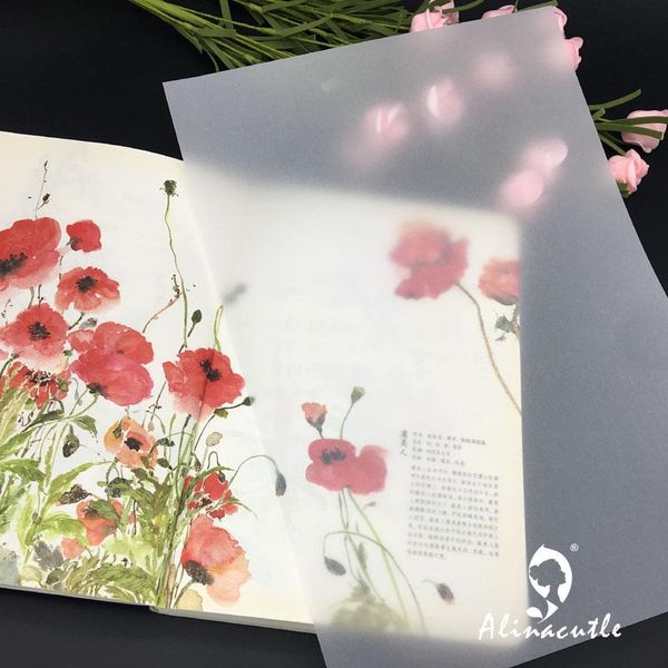other arts and crafts 20pcs a4 vellum paper acetate pack design scrapbooking handmade craft background alinacraft
other arts and crafts 20pcs a4 vellum paper acetate pack design scrapbooking handmade craft background alinacraft